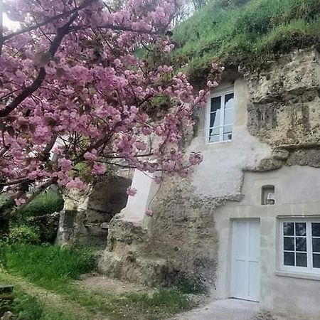 Troglo Entre Caves Et Chateaux Монлюис-сюр-Лоар Екстериор снимка