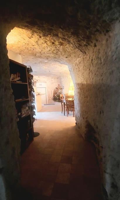 Troglo Entre Caves Et Chateaux Монлюис-сюр-Лоар Екстериор снимка