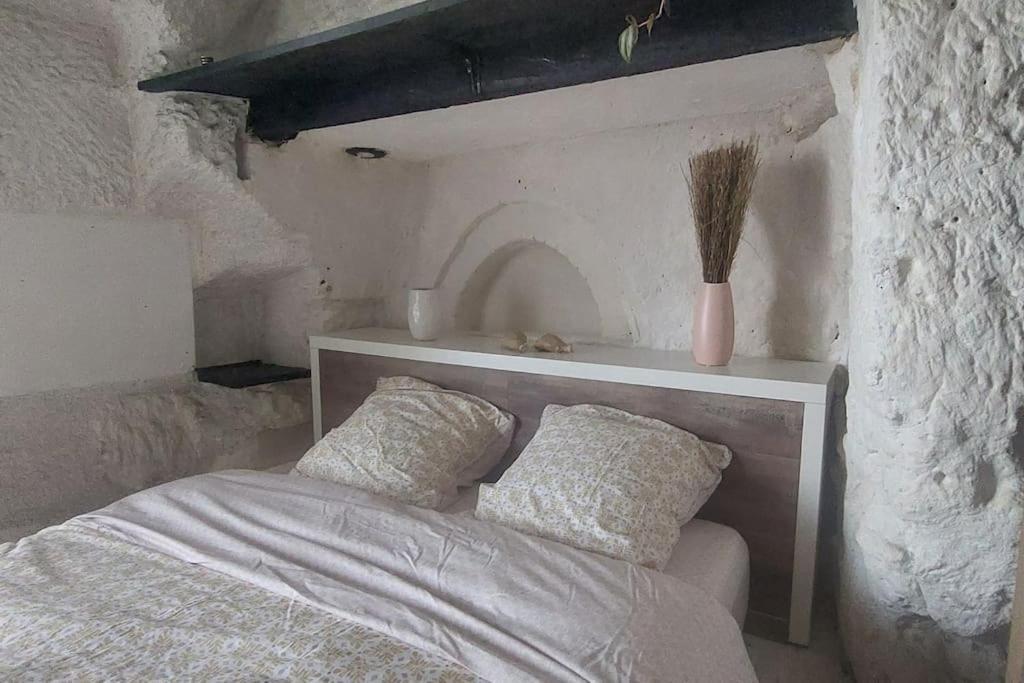 Troglo Entre Caves Et Chateaux Монлюис-сюр-Лоар Екстериор снимка